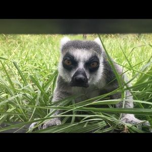 Meet your Posher, Airika